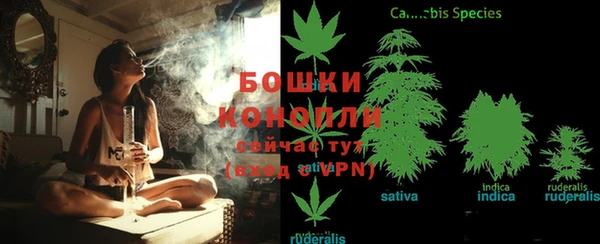 гидропоника Аркадак