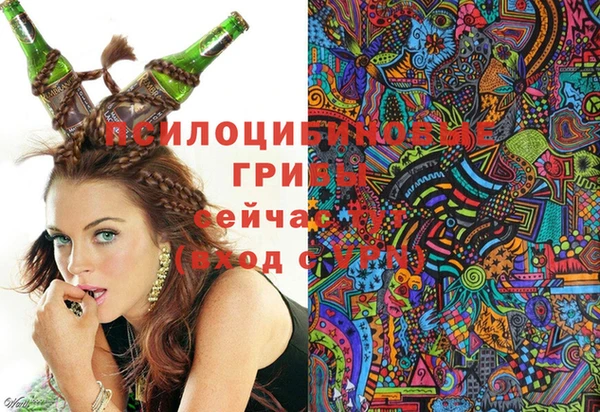 стафф Армянск