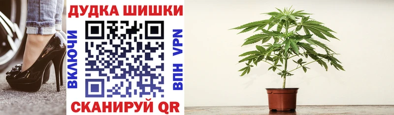 Каннабис семена  купить  цена  Мамадыш 
